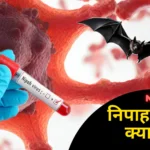 Nipah Virus